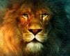 Leo_TheLion