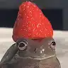 Ckotya