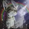 Тушкан