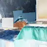 Василий Евстигнеев