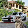 Denis_1483929