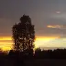 Deviant_2