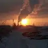 Viola_20_20