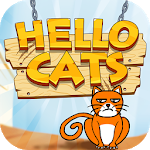 Hello Cats