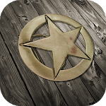 Tin Star