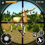 Animal & Dear Hunter 2018