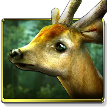 Forest HD