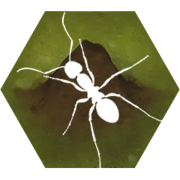 Finally Ants