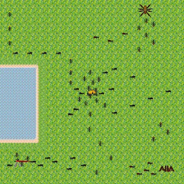 Жизнь муравьев