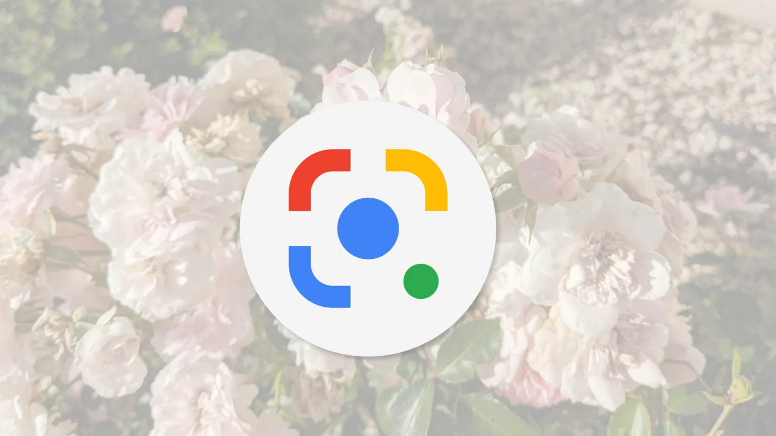 Google Chrome для ПК получил элемент функционала мобильной версии браузера