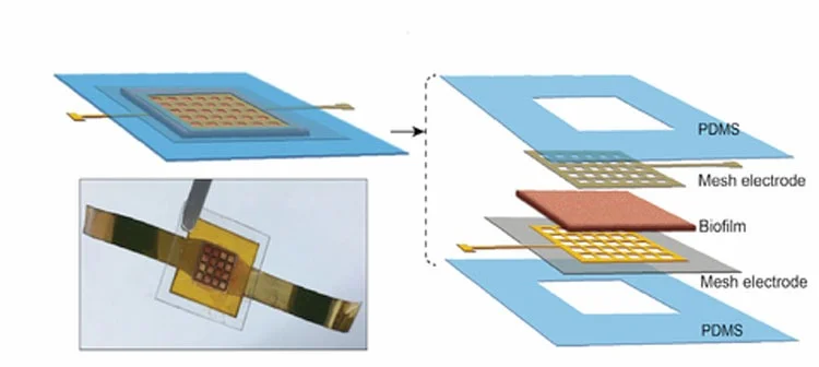 Создана биопленка, генерирующая электричество из пота
