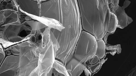 Найден простой и дешевый способ опреснения морской воды