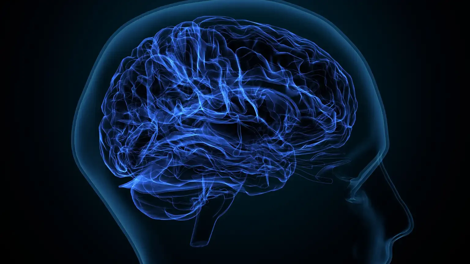 Scientists from Australia have created a map of the human brain