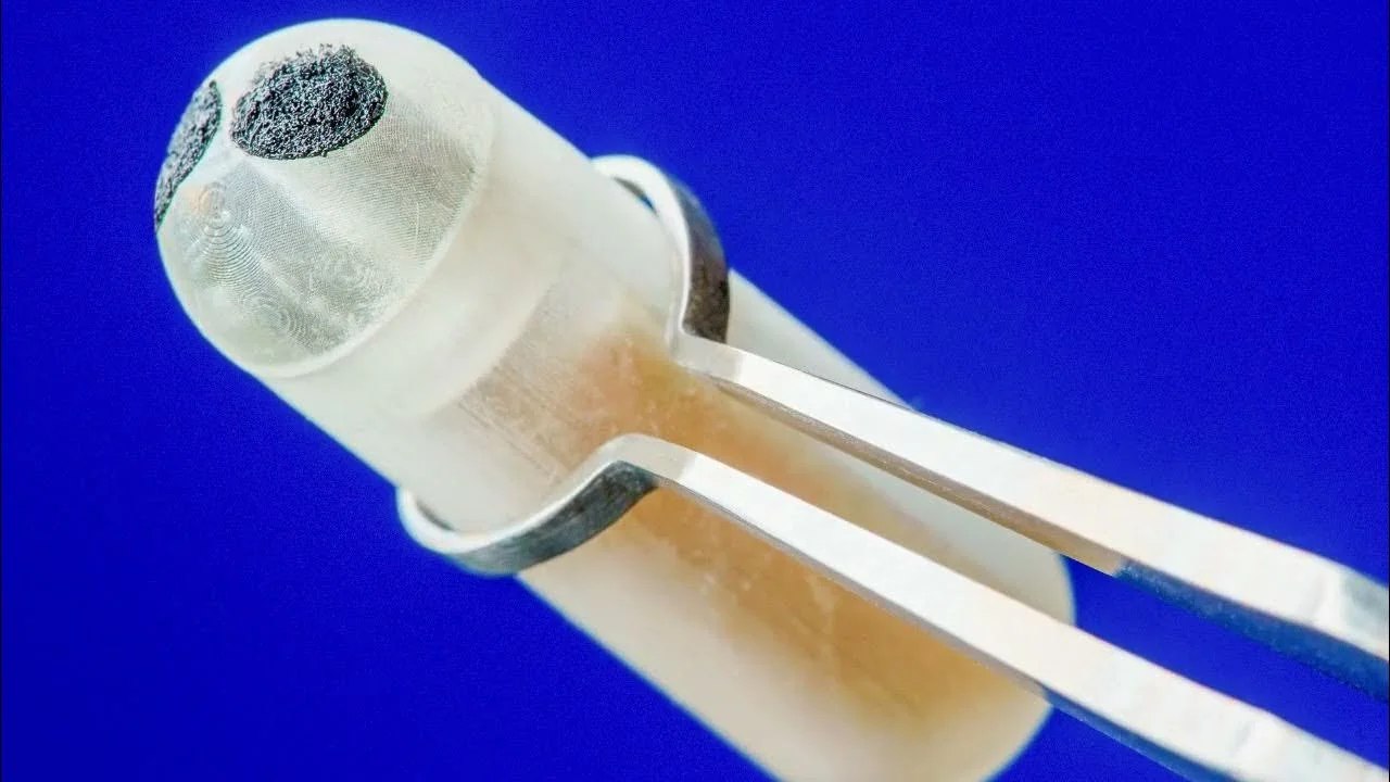 American scientists have created a biosensor tablet for monitoring the gastrointestinal tract