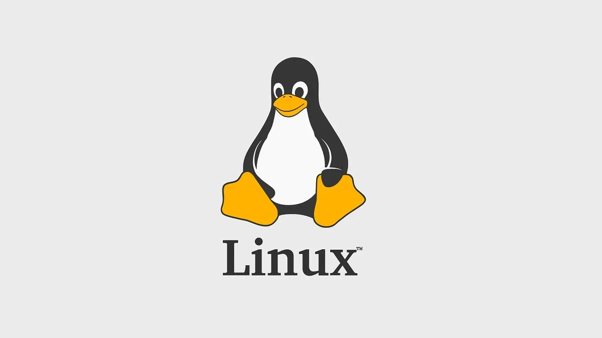 Вышла стабильная Linux 6.1. В ней сделали свыше 15 тысяч исправлений