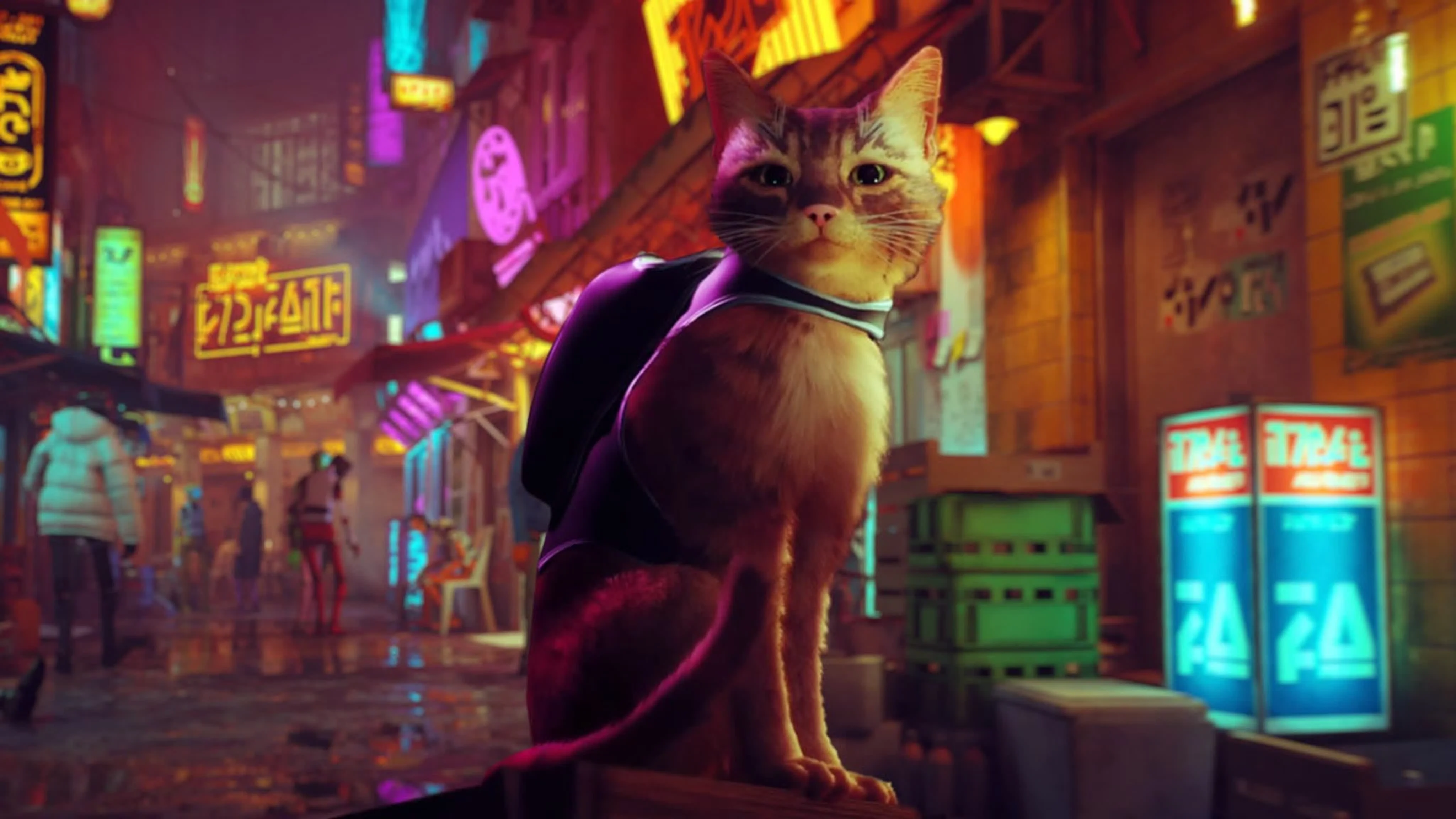 Adventure game Stray is very likely to come to Xbox