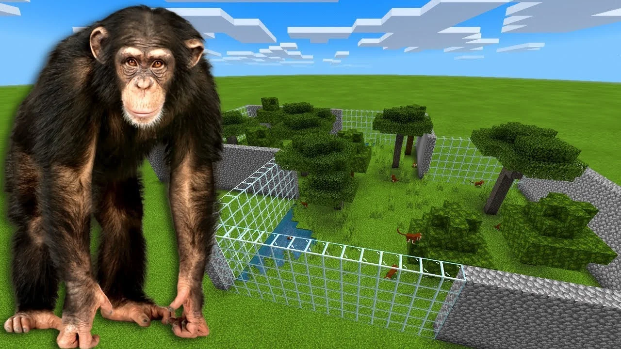 Обезьяну научили играть в Minecraft. И у примата неплохо получилось