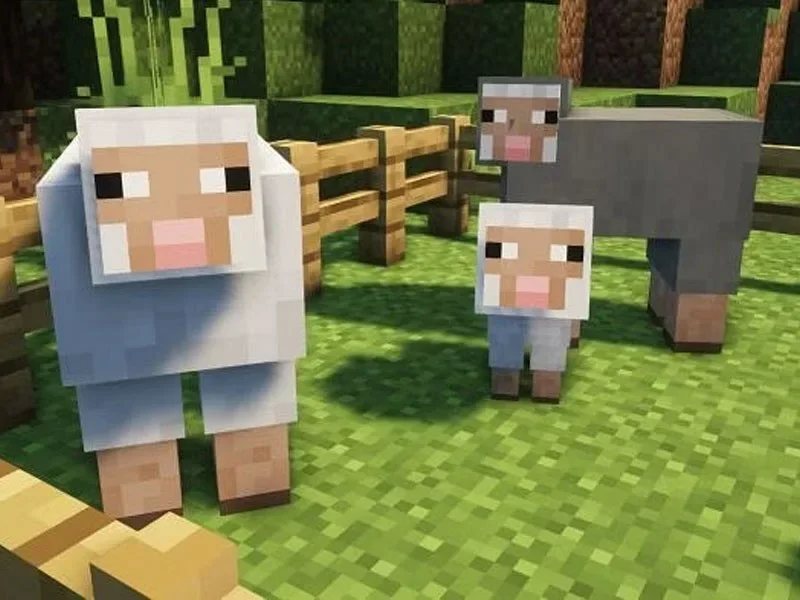Minecraft 'Australian' Sheep Causes Reddit Controversy