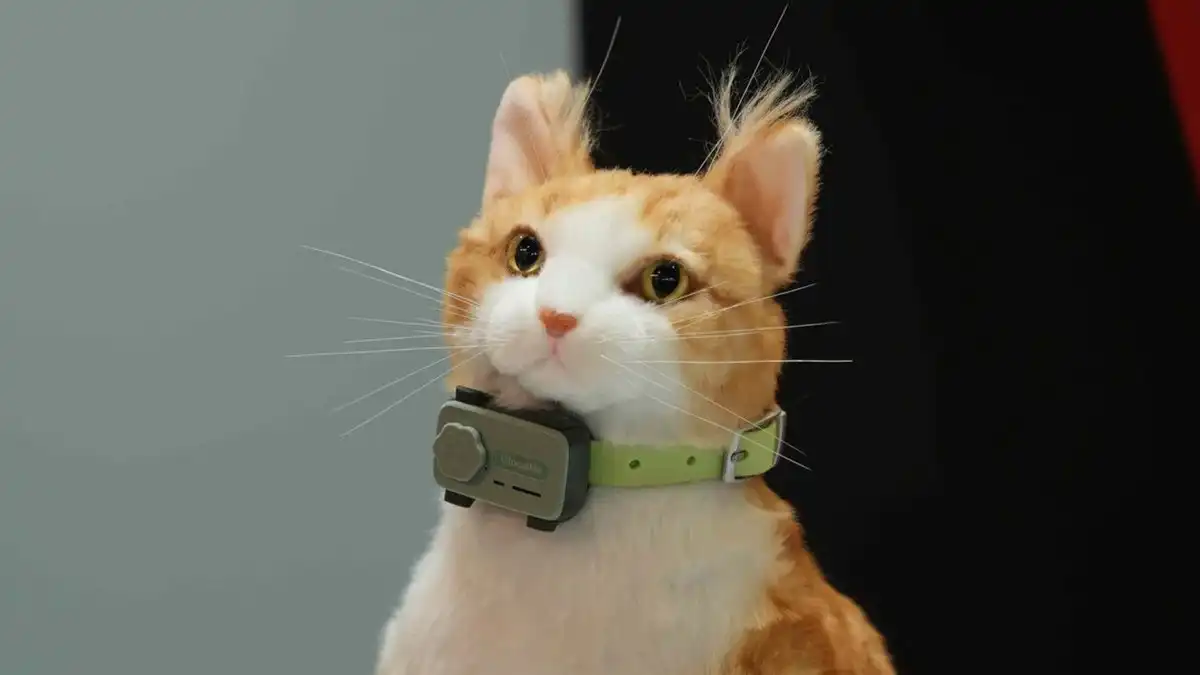 PetPhone Introduced - The World's First Smartphone for Pets