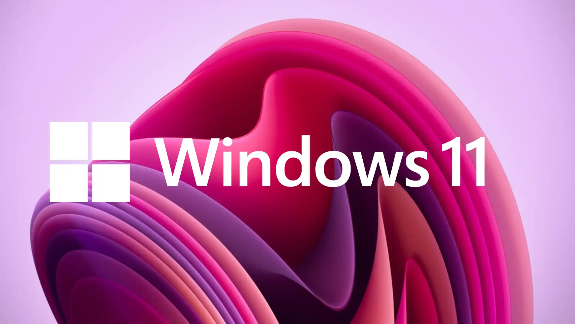 Windows 11 is close to Windows 10 in popularity