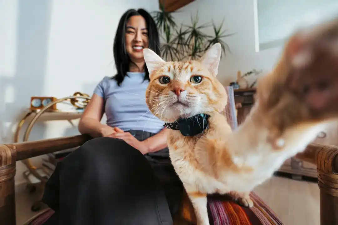 Американский бренд Fi представил Mini — GPS-трекер с функциями фитнес-мониторинга для животных