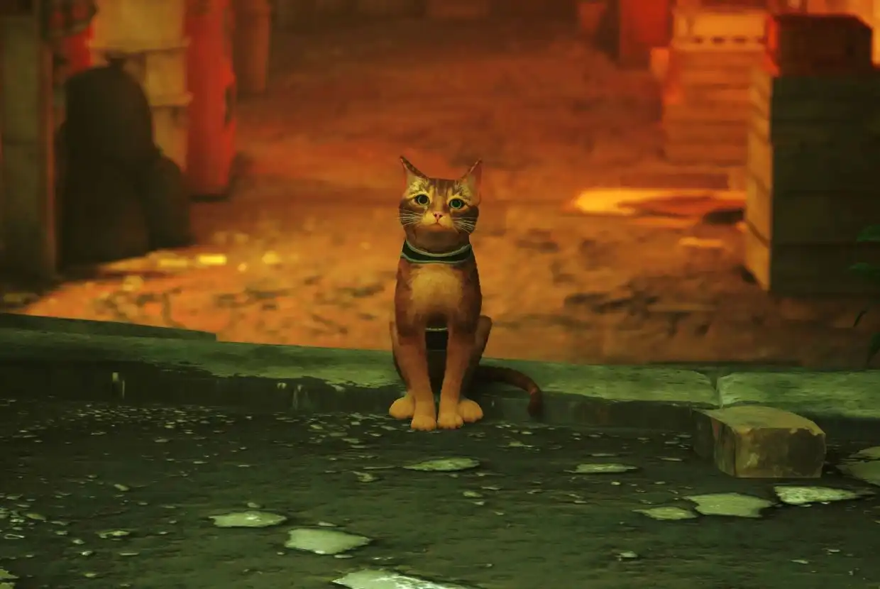 Рыжий кот снова в центре внимания: в PS Plus могут бесплатно раздать Stray